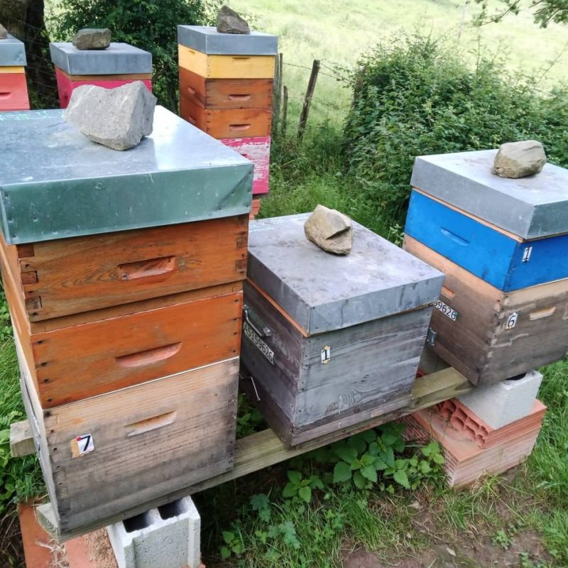 Le Montimiel - Miel d'Acacia 1kg