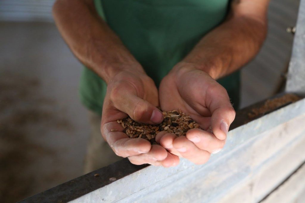 La Ferme des Vertes Prairies