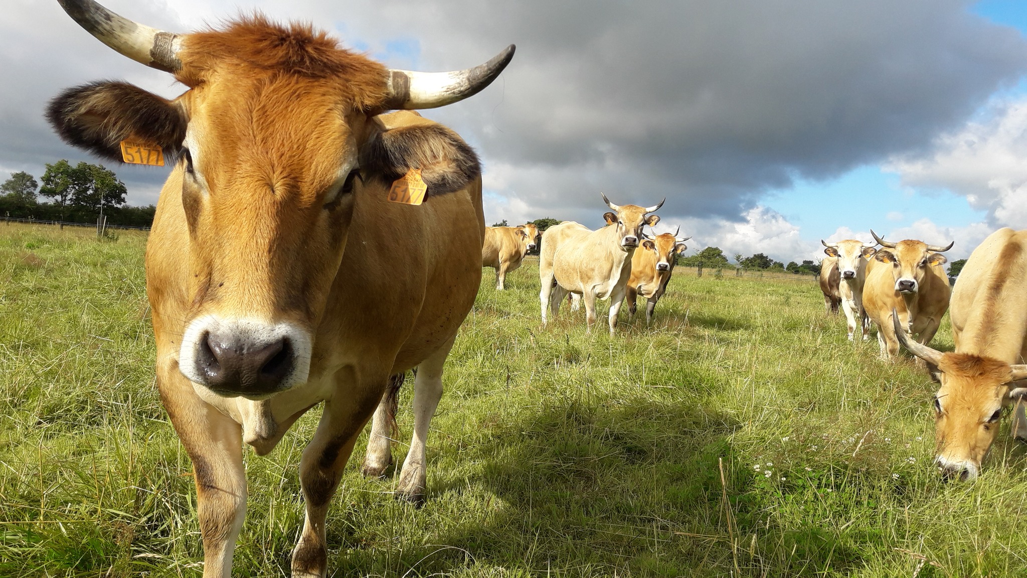 La Ferme des Vertes Prairies