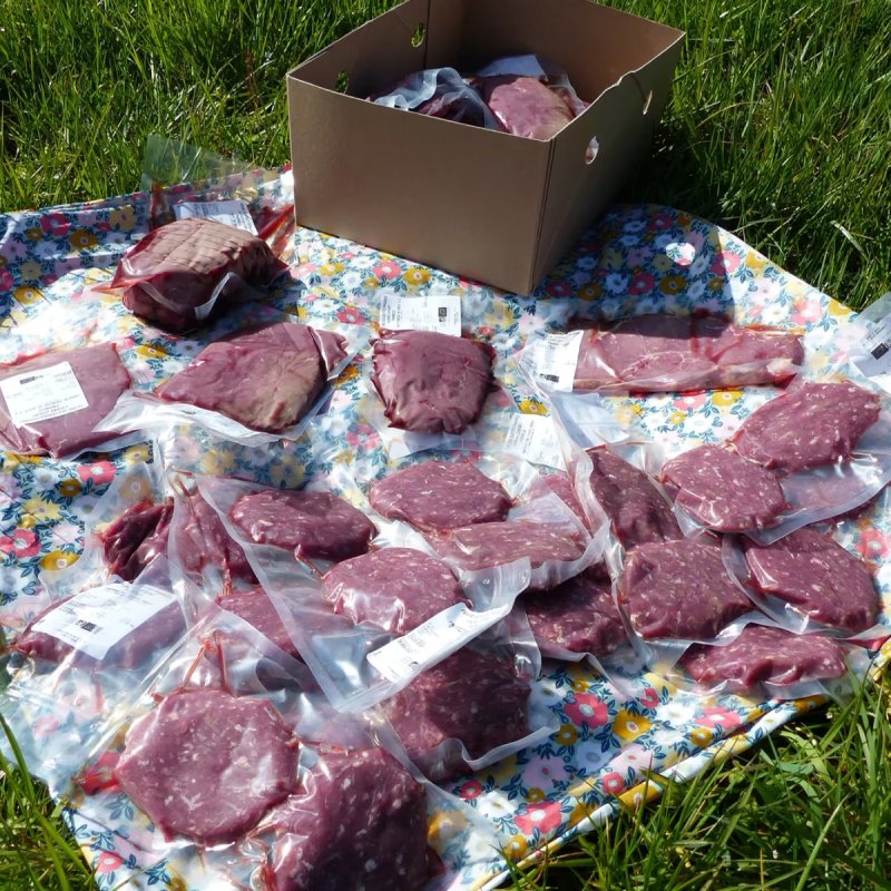 Viande bovine - colis grillades Steack Hachés - 10 kg 
